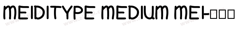 MEIDITYPE MEDIUM MEI字体转换